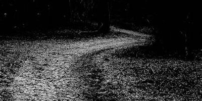 Paths