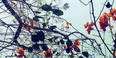 Spring
